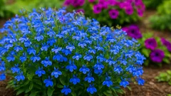 Siať lobelky ako profesionáli: správne riadenie klíčenia, vlhkosti vzduchu a teploty