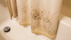 Pleseň na sprchovom závesu: 30-minútový trik, ktorý ho skutočne vyčistí