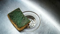 Čo nie je v poriadku s bežnou hubkou na riad — a čím ju radšej nahradiť