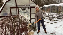 Po zime trávnik stvrdne ako betón: ako ho pomocou jednoduchého triku opäť prinútiť dýchať