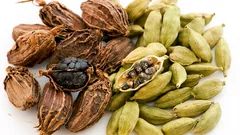 Zelený alebo čierny kardamóm: najdôležitejší rozdiel a ako ho správne používať